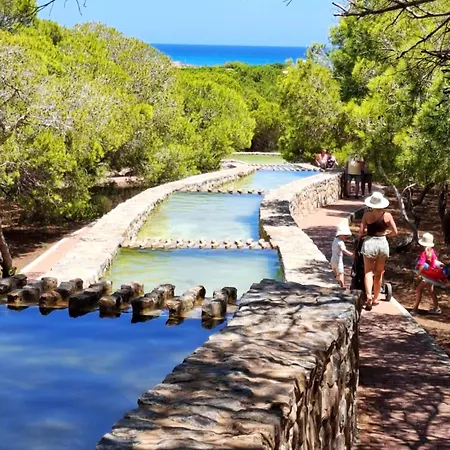 Sunny Time La Mata 아파트 또레비에하